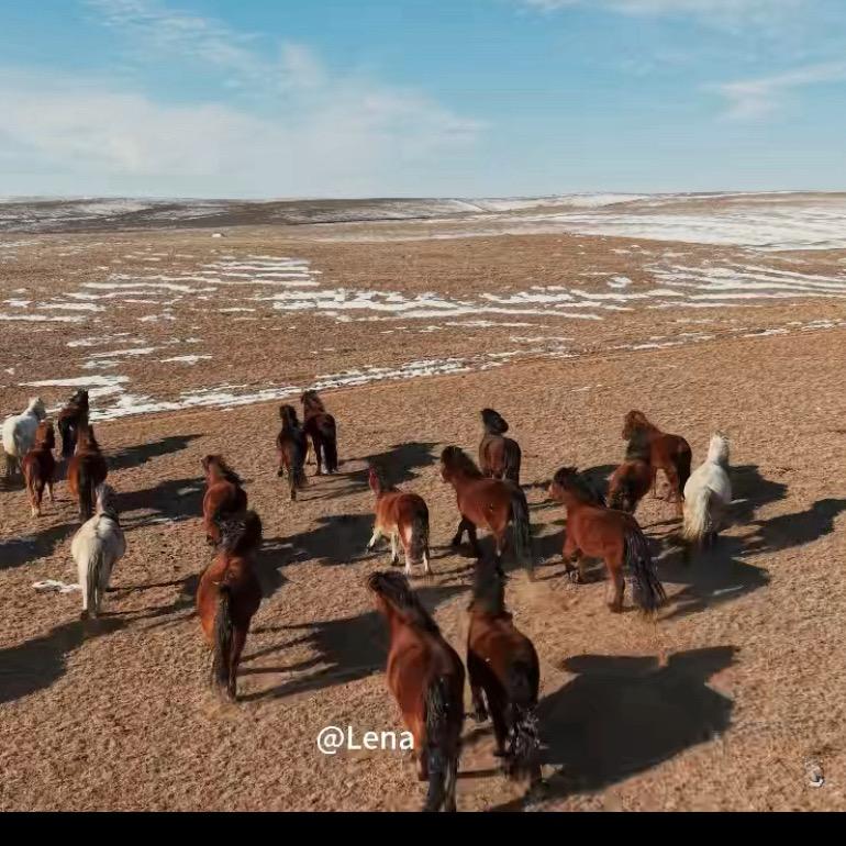 风吹草低见牛羊