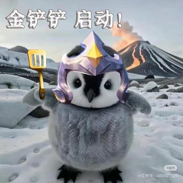金铲铲小狗