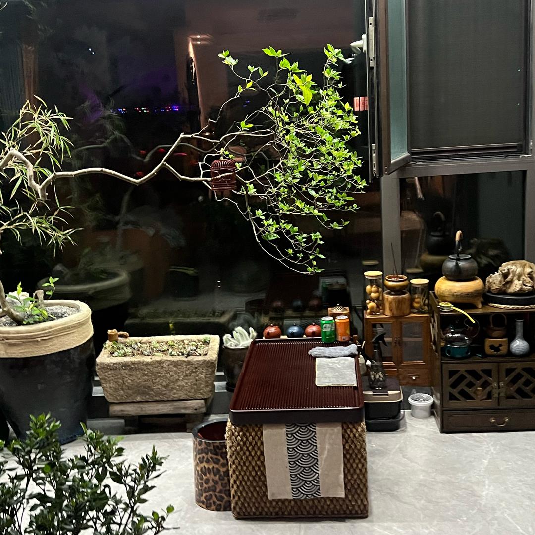 我跟我长不大的宝宝