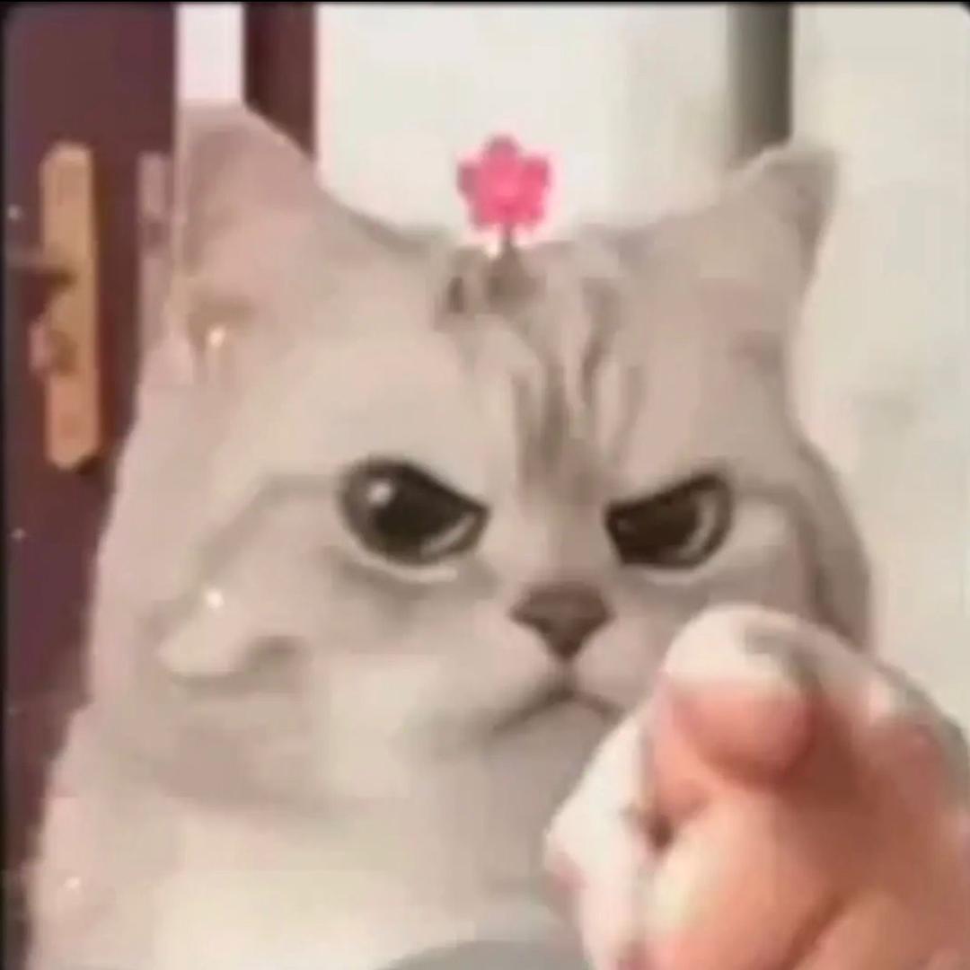 时间就是时间