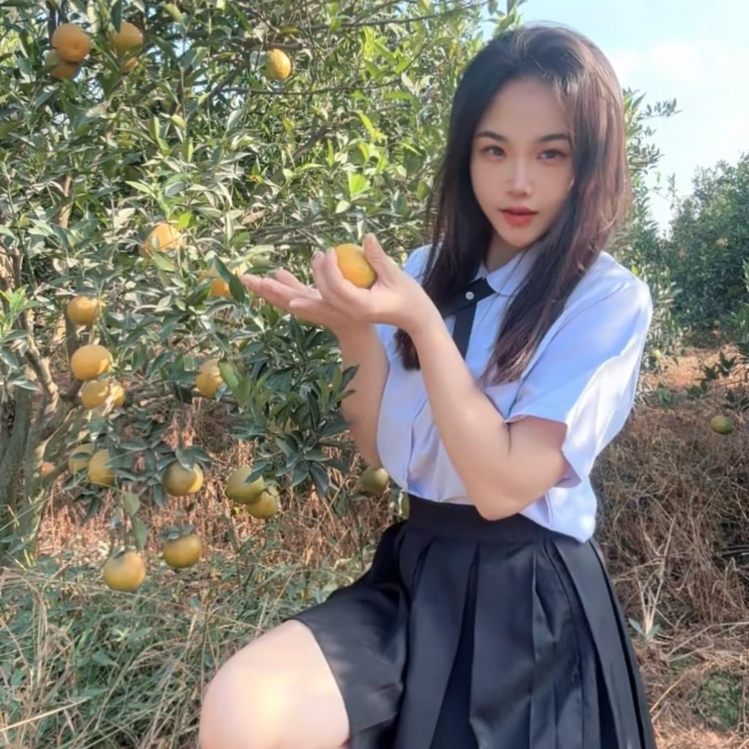 自家种新会陈皮的小雨