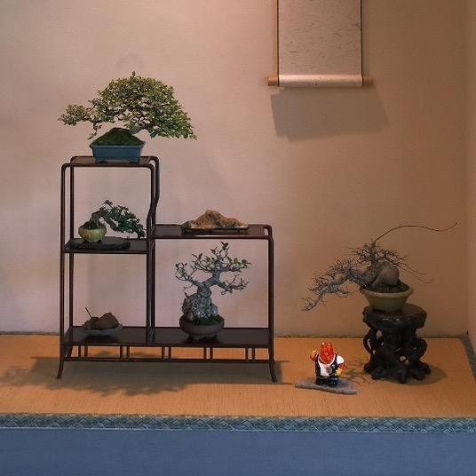 芥园