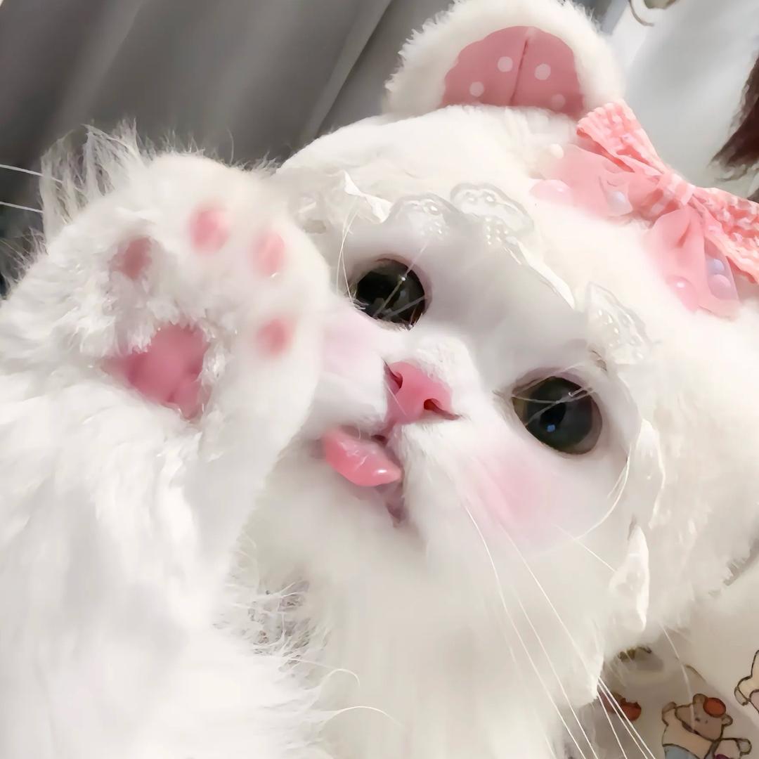臭屁