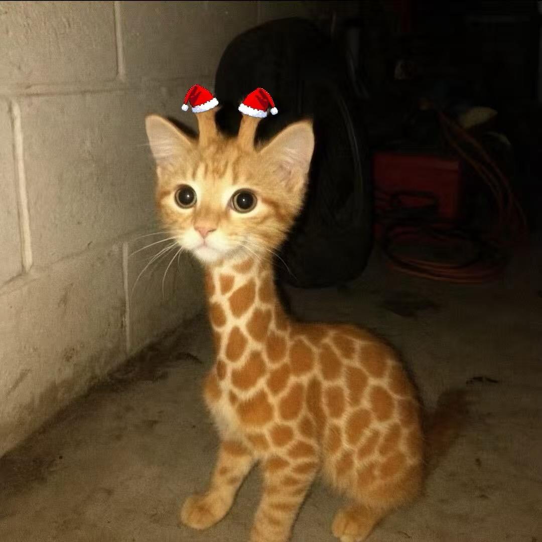 YiiiYi