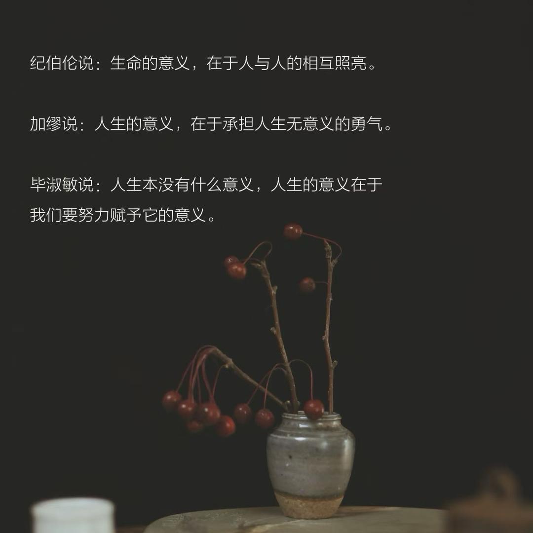 用户7246501