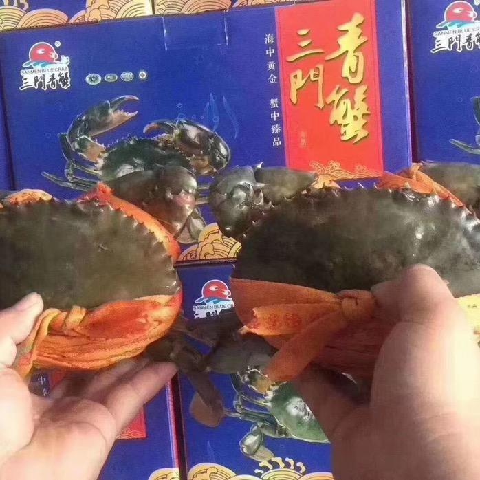 小陈（青蟹各种海鲜）