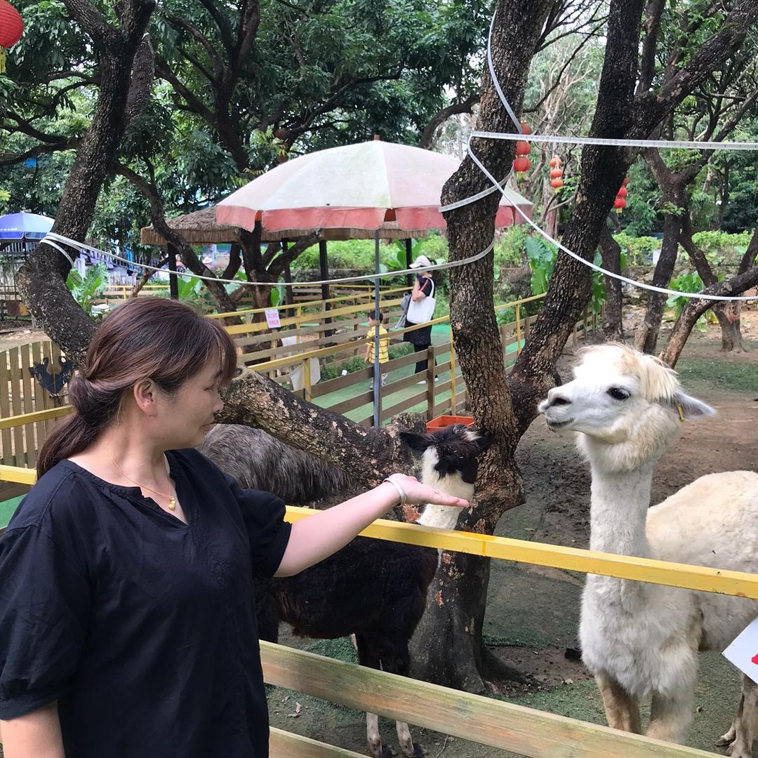 夏天的妈妈