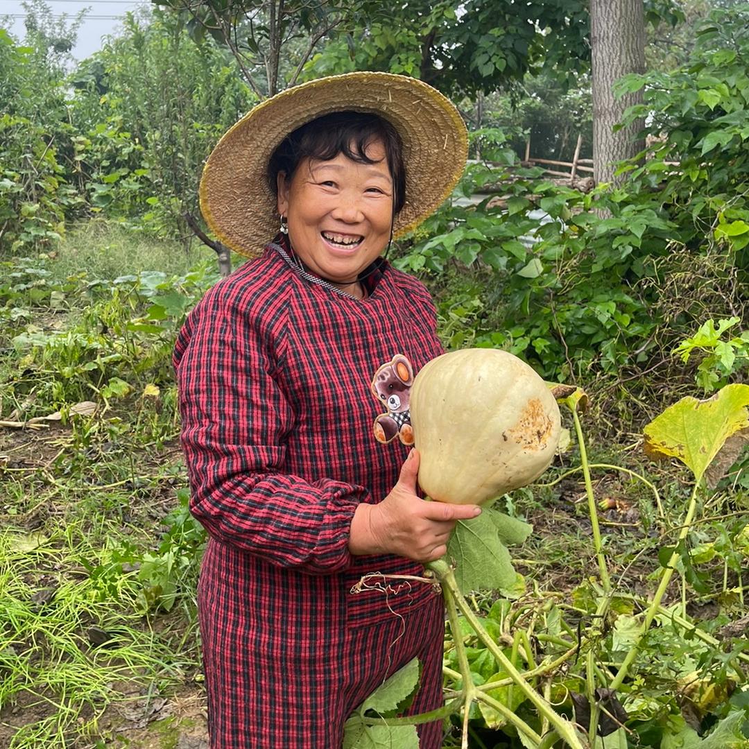 农村刘大姐(下午一点半首播)