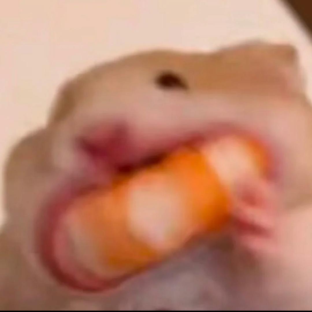包包包娱乐