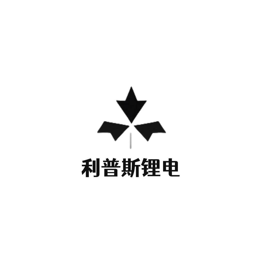 利普斯锂电五金商行