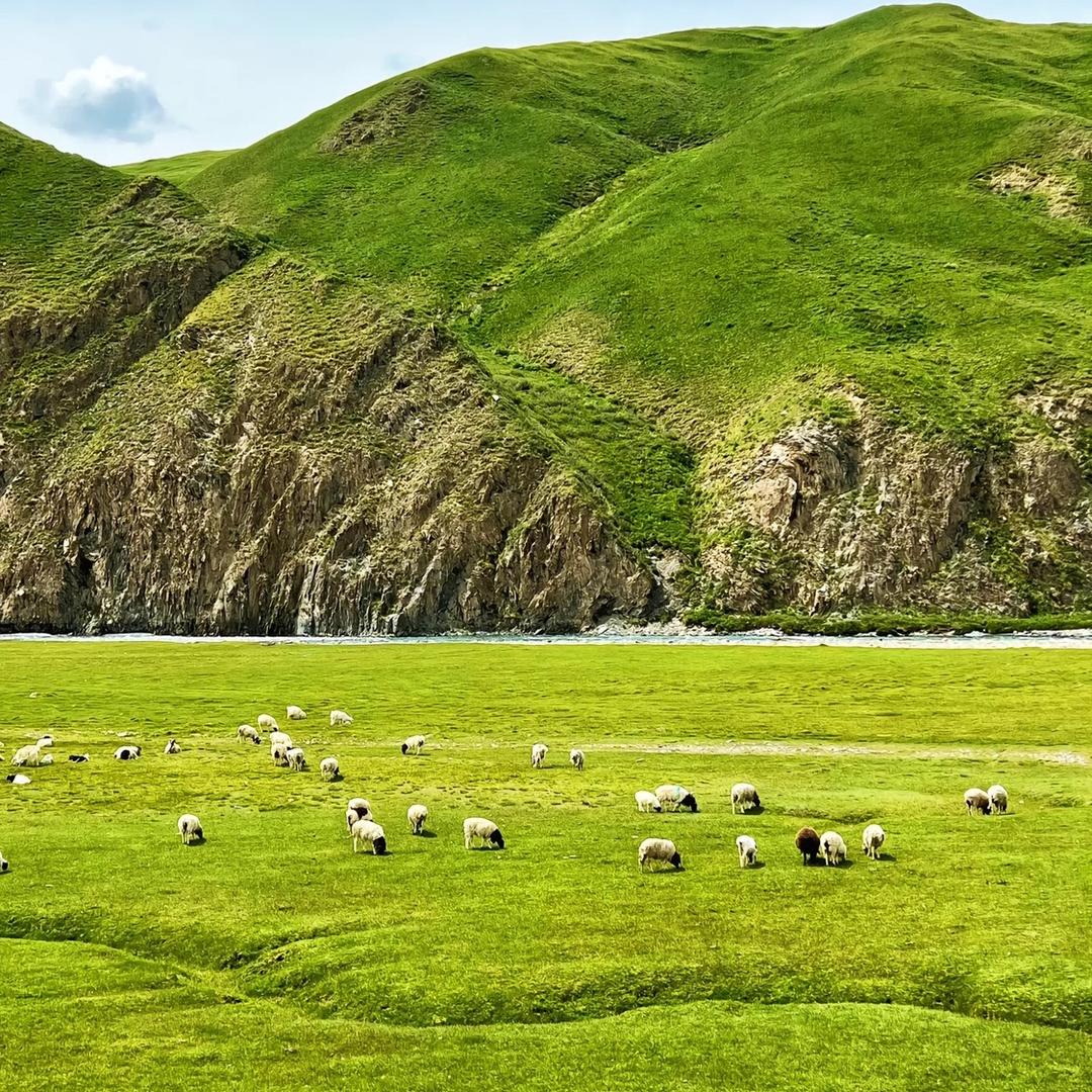 一道光⚡️正能量