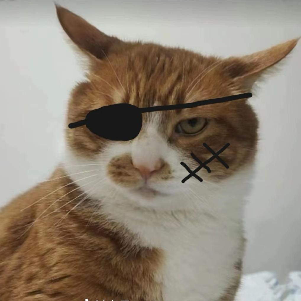 黄猫猫