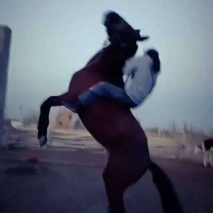 ryz