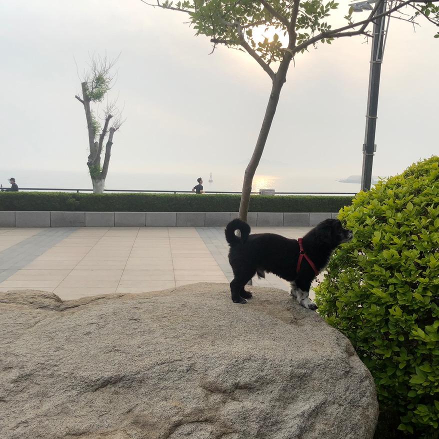 独立