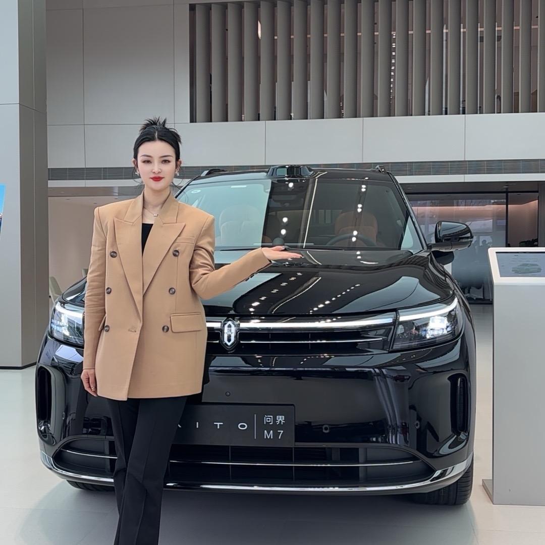 问界蜀西路叶子