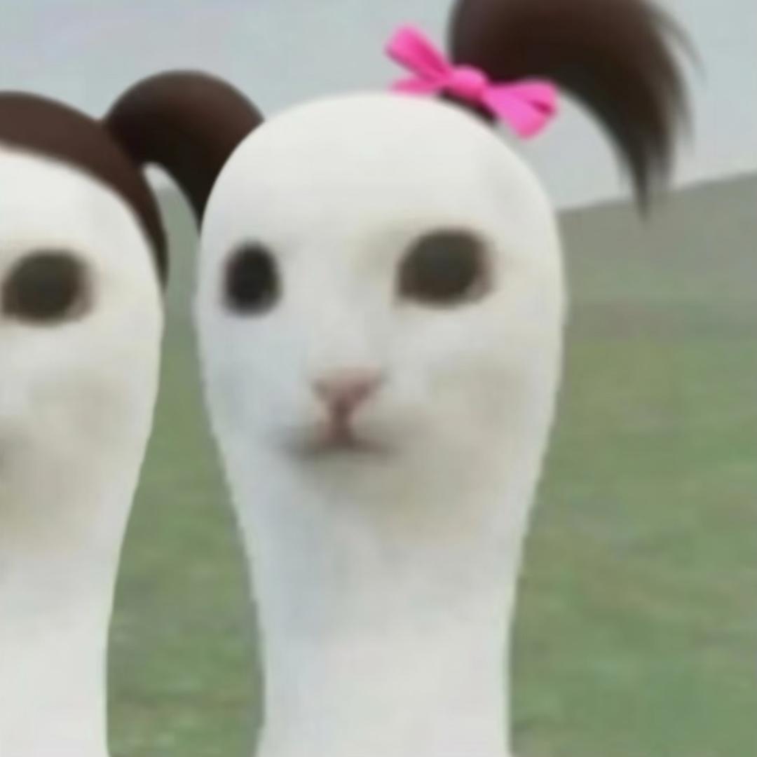 橙橙