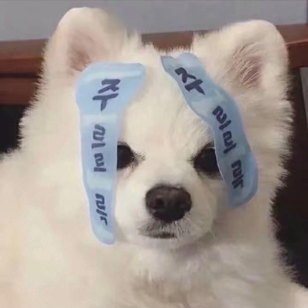 北渡