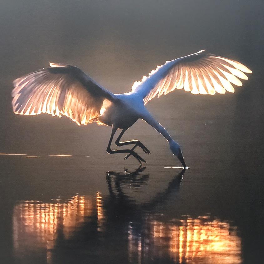 六月晴雪逍遥行