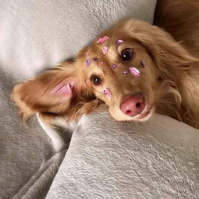 我想叫什么叫什么