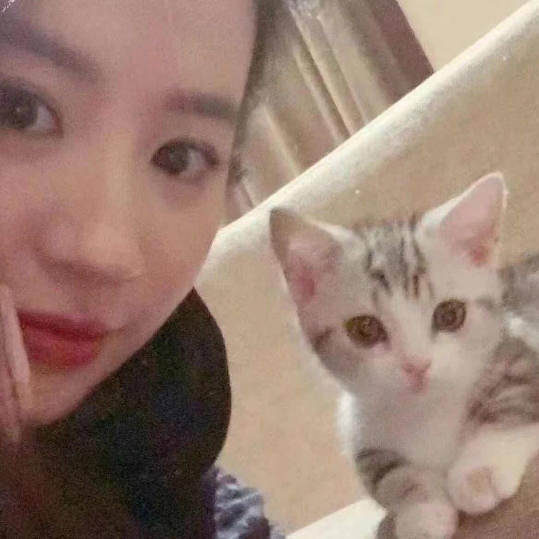 🌈羊咩咩🌈