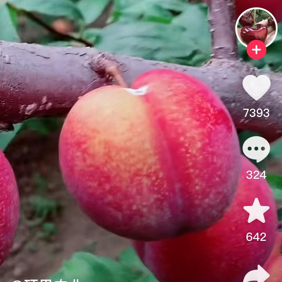 飞向星际