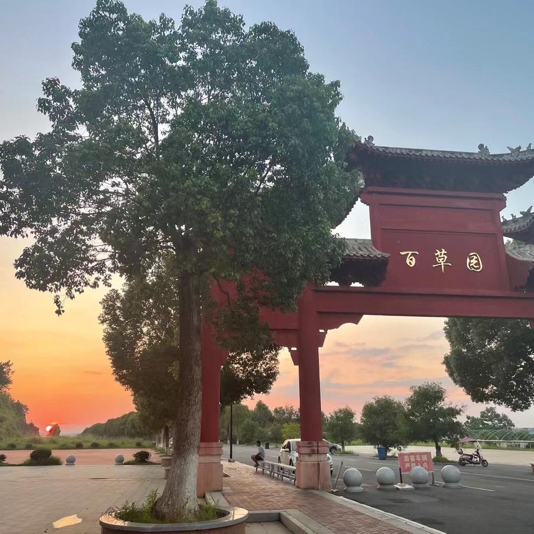 食珍壹号的头像