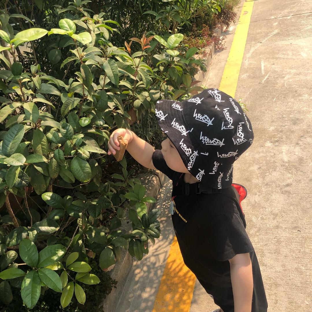 向日葵🌻