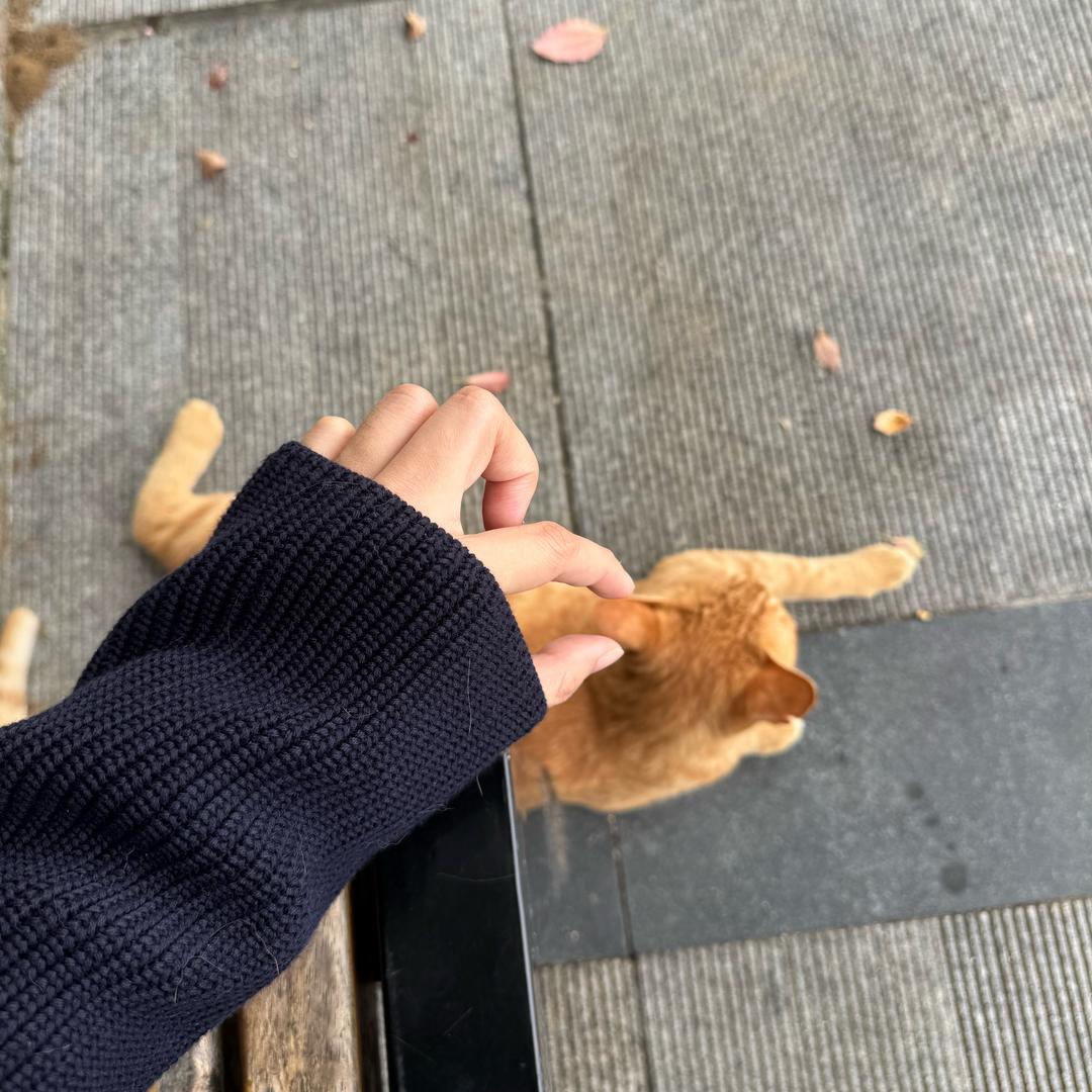 排骨汤