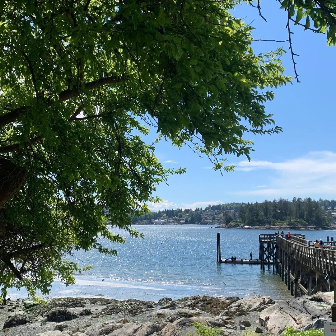 丁院说饮食煎果