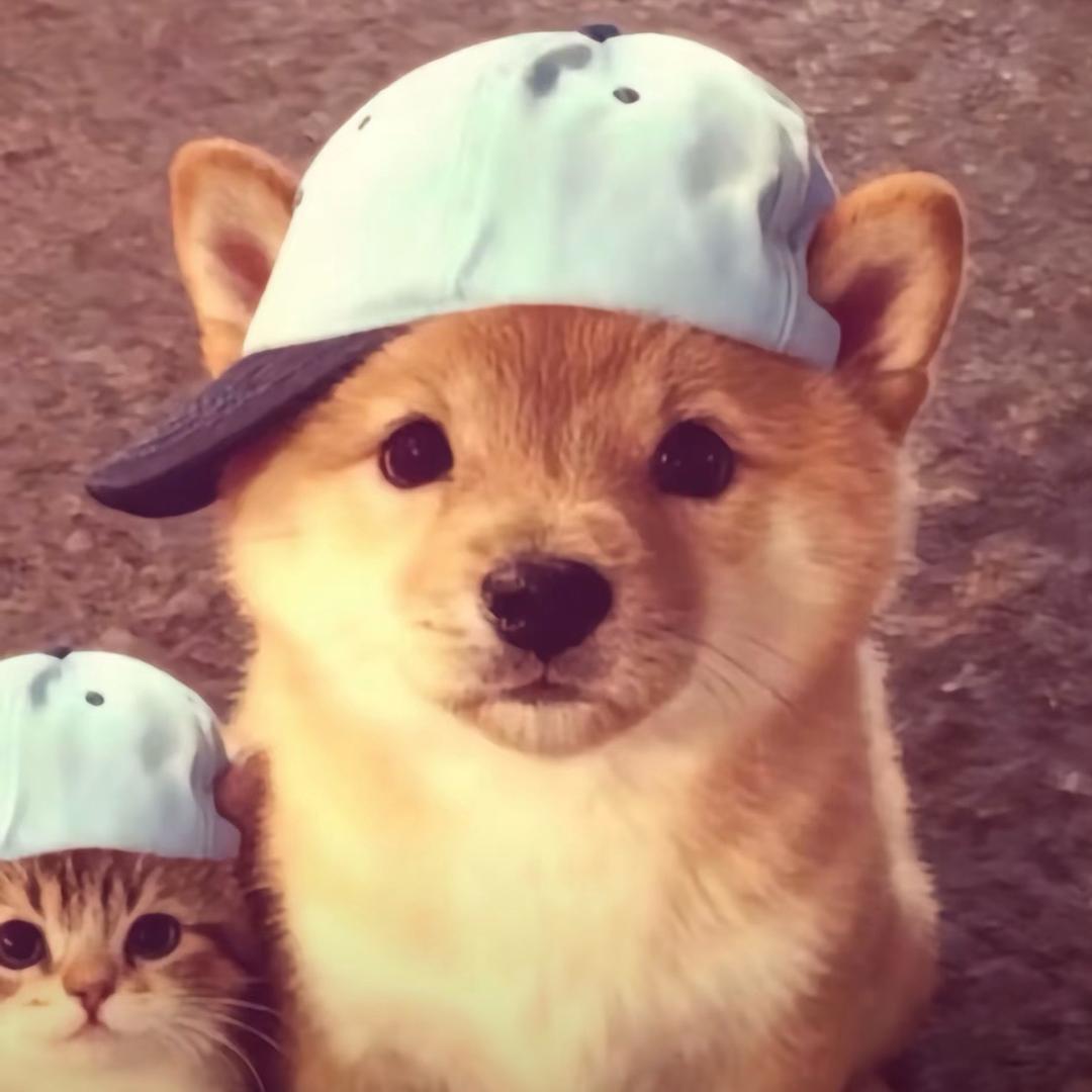今天见
