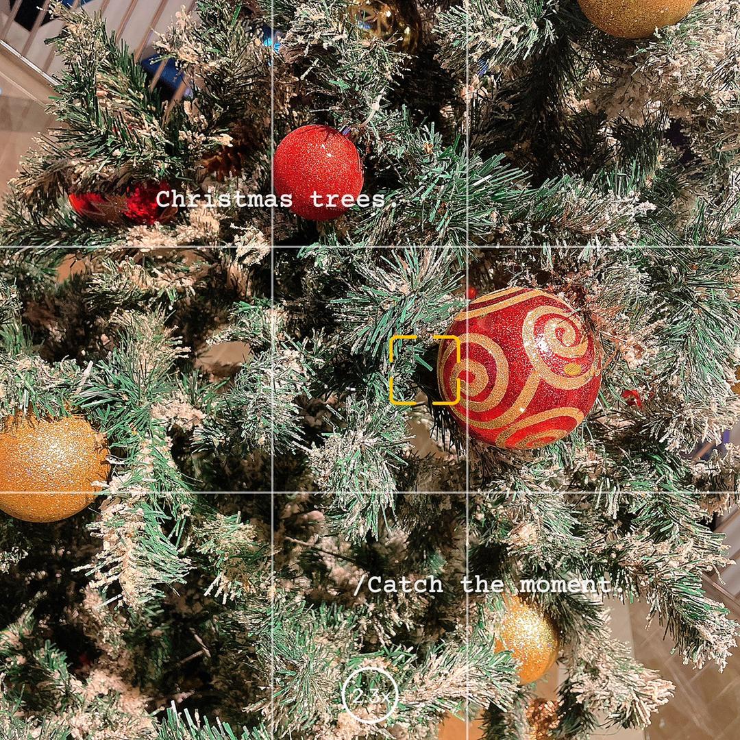 ##出奇蛋好出奇