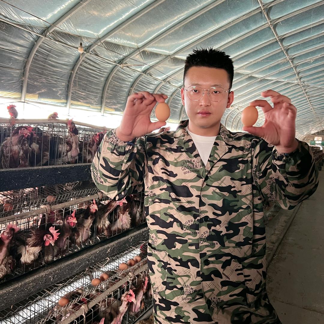 孝可7号 河南特产自家麻椒鸡