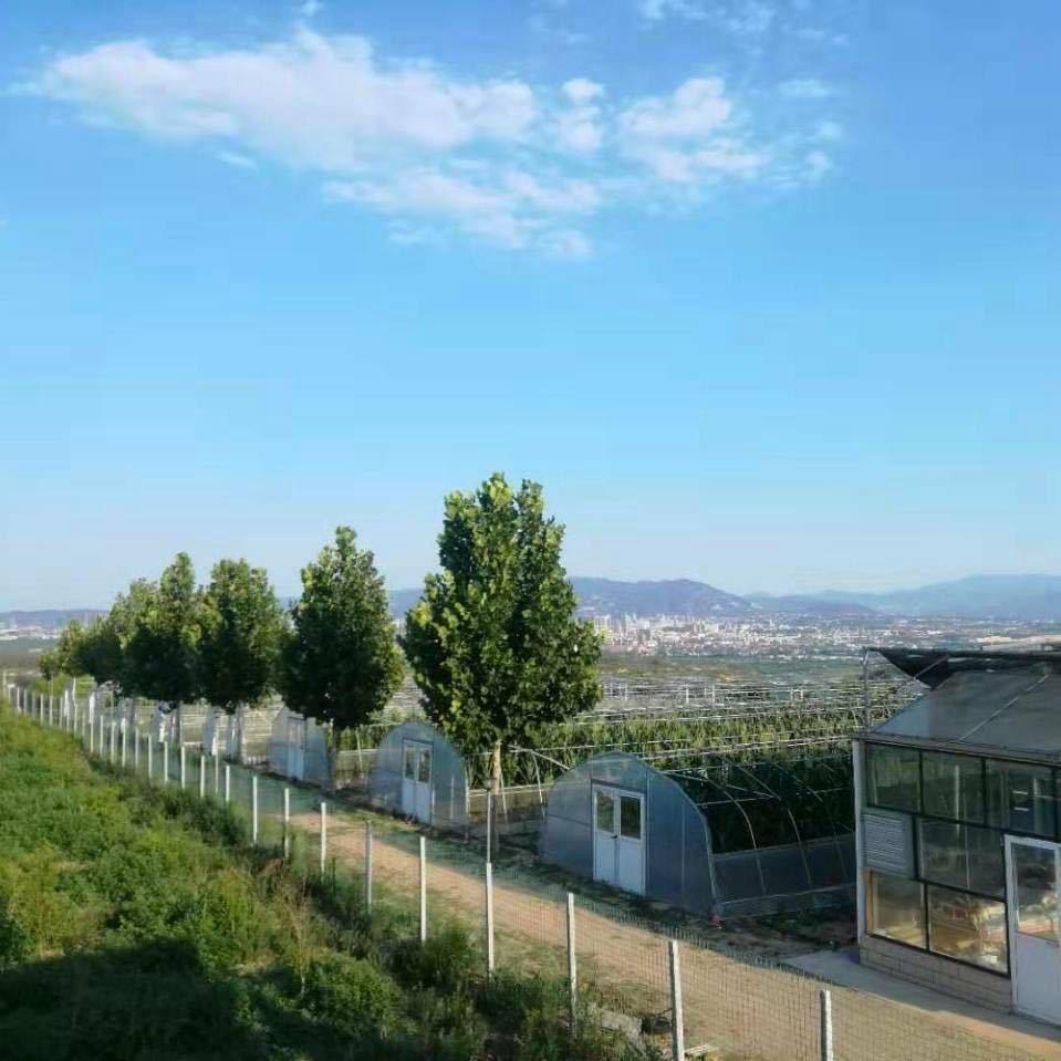 巩义杏福山庄