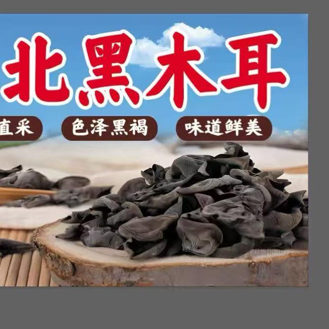 长白山鲜人参黑木耳源头