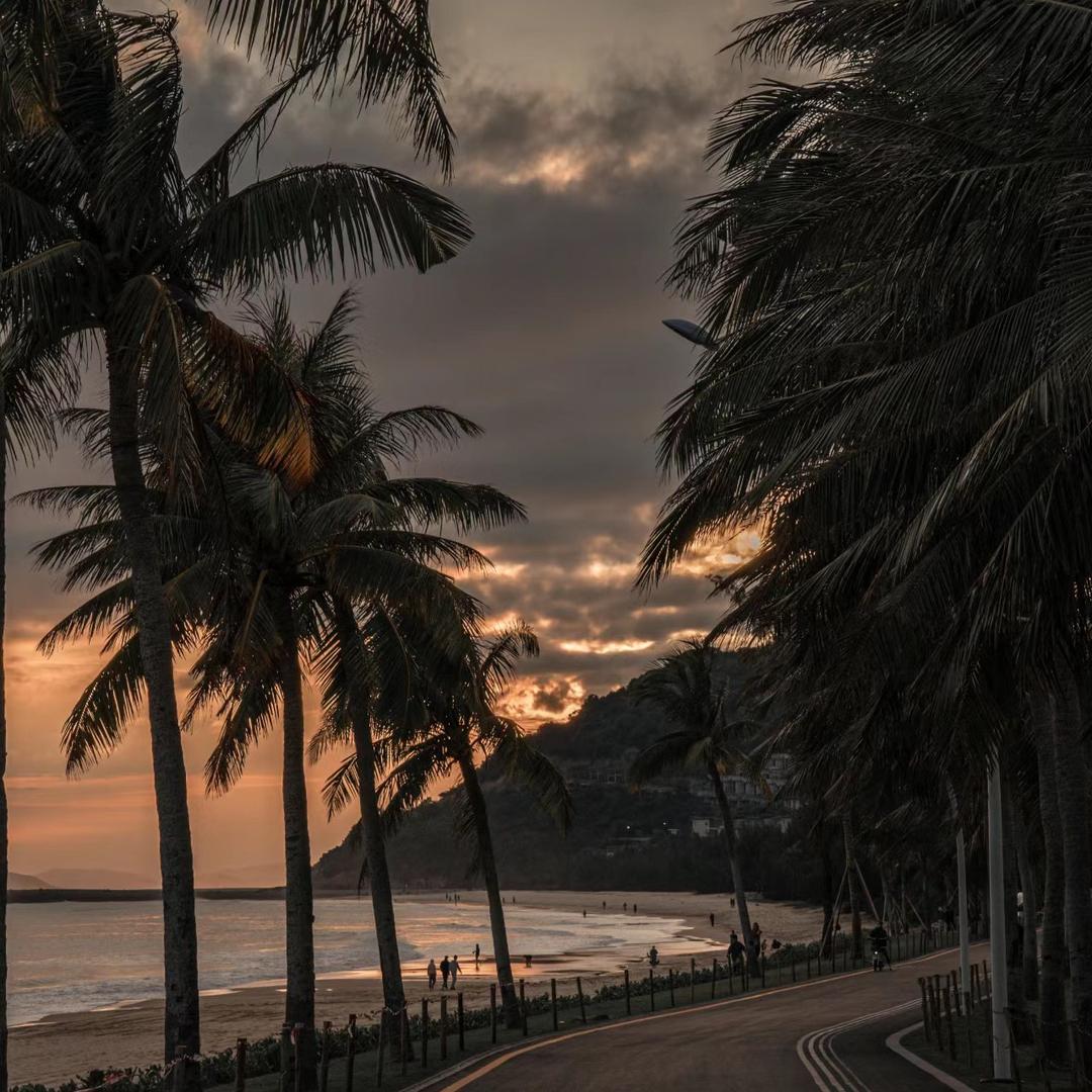 爱玩游戏的小洋芋