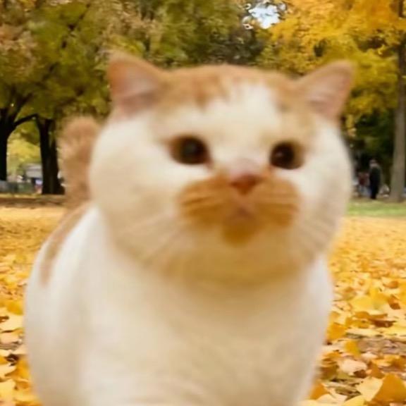 日落
