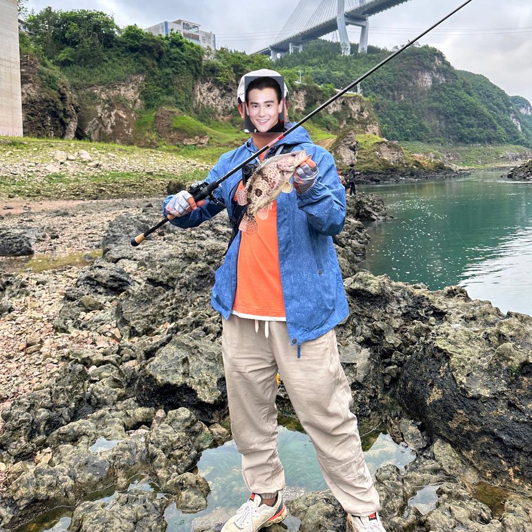 十七🐳