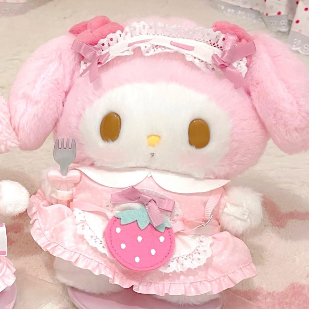 kitty冒