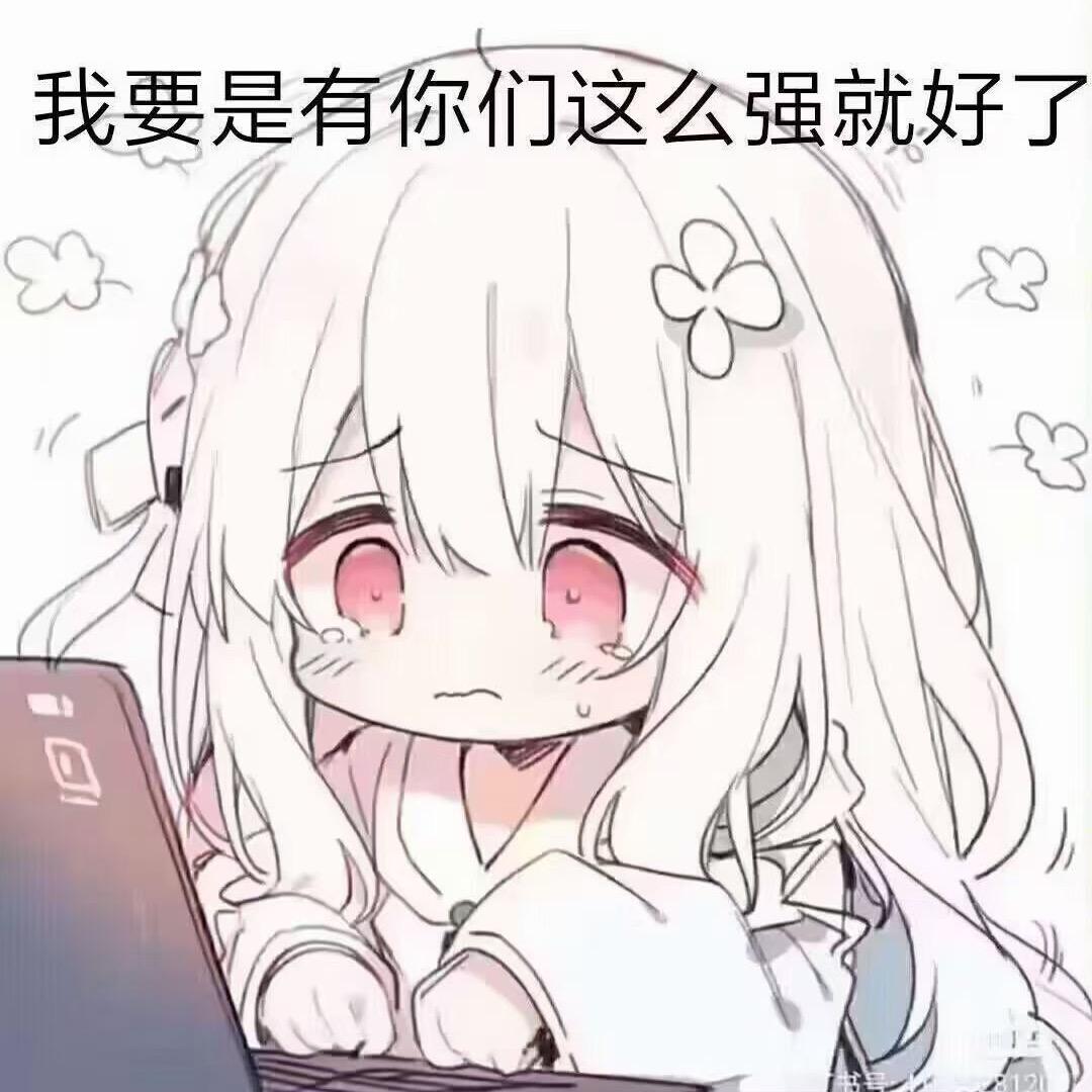 本名称无法形容本人