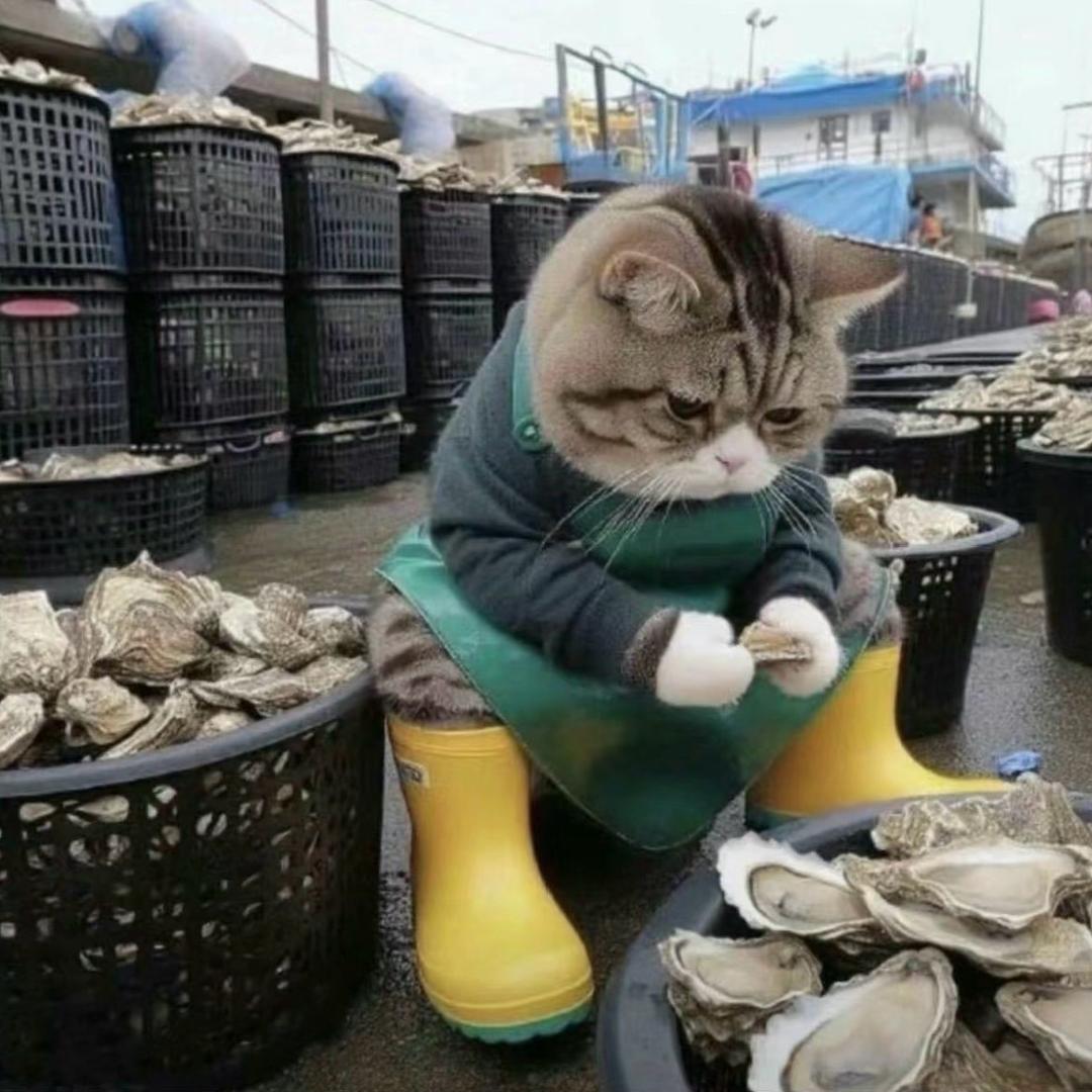 我不是龟佬