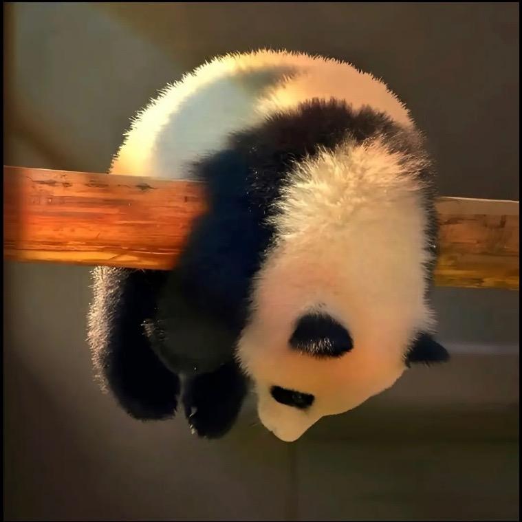 不瘦到150不改名，