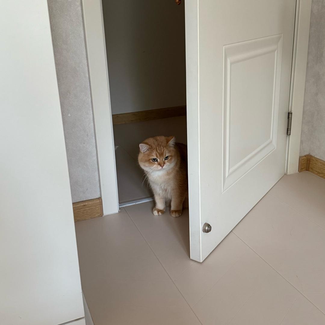 福贵又饿了