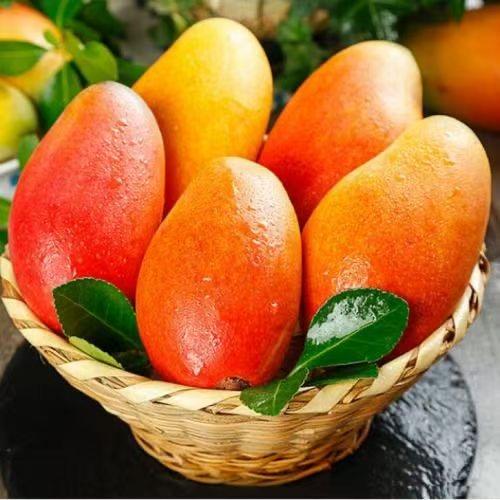 淘个水果
