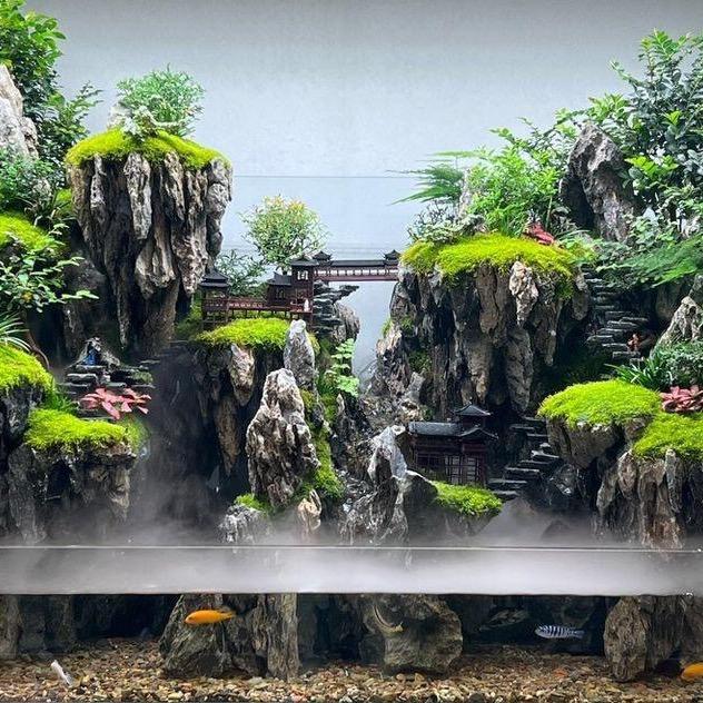 啊威的造景小店