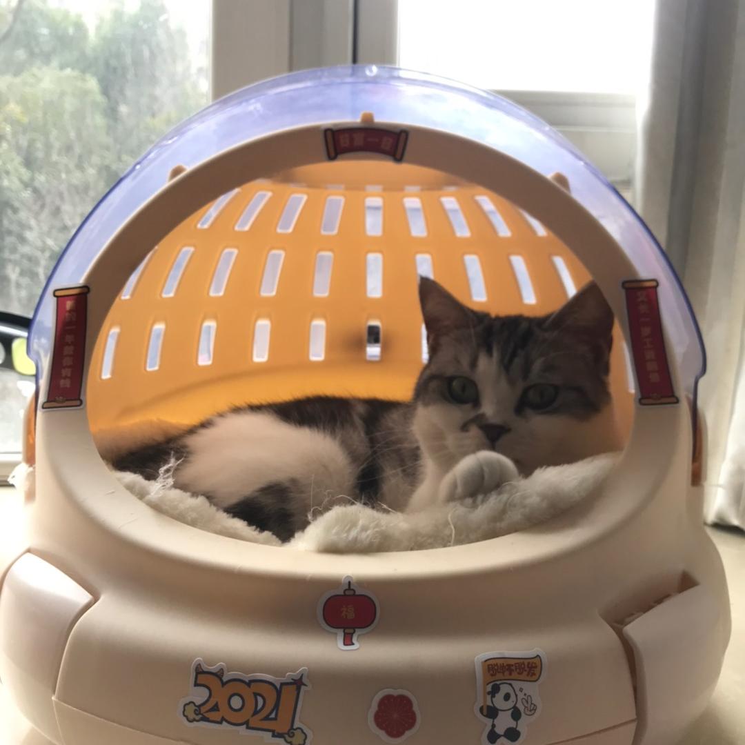 。。。。。。11