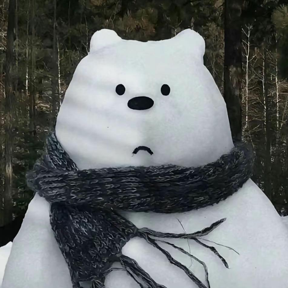冰冷的小熊🐻‍❄️