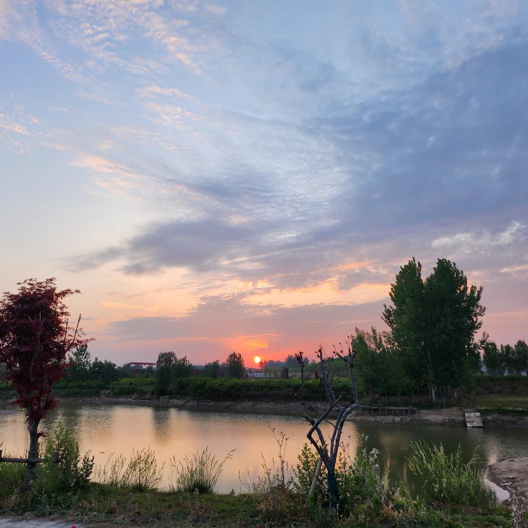 ㅤㅤ ㅤ︋ ㅤㅤ ㅤ︋ ㅤㅤ ㅤ︋ ㅤ