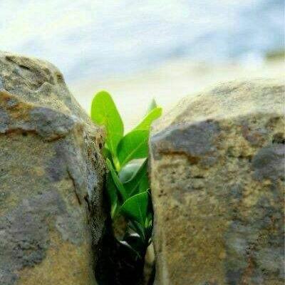 莫名其妙不可言