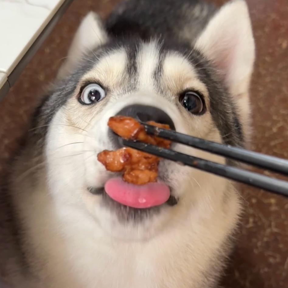 小狗霸天