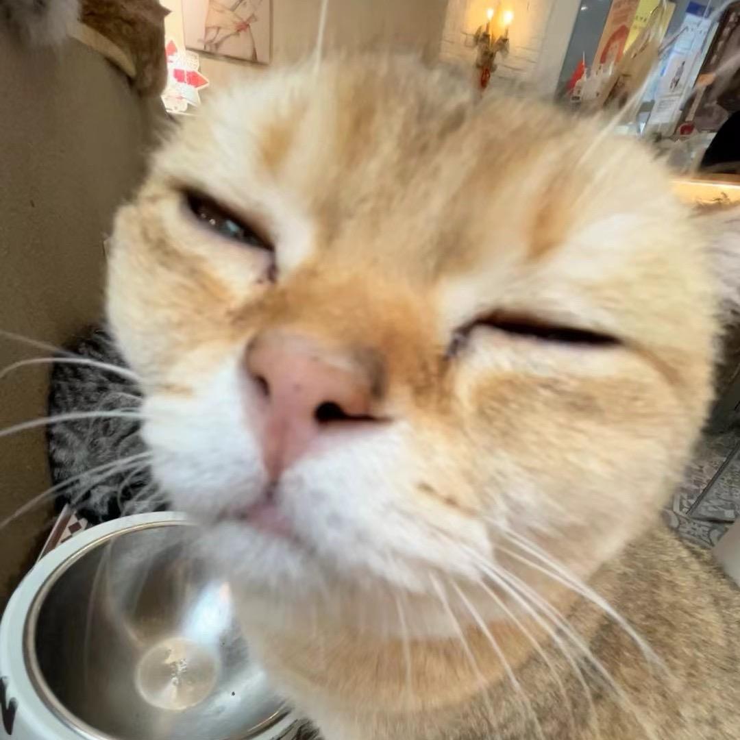 粒子